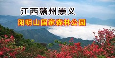 大鸡巴差小骚逼视频网站